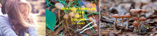метамфетамин Верхний Тагил
