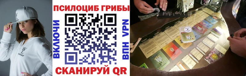 Псилоцибиновые грибы Psilocybine cubensis Ростов